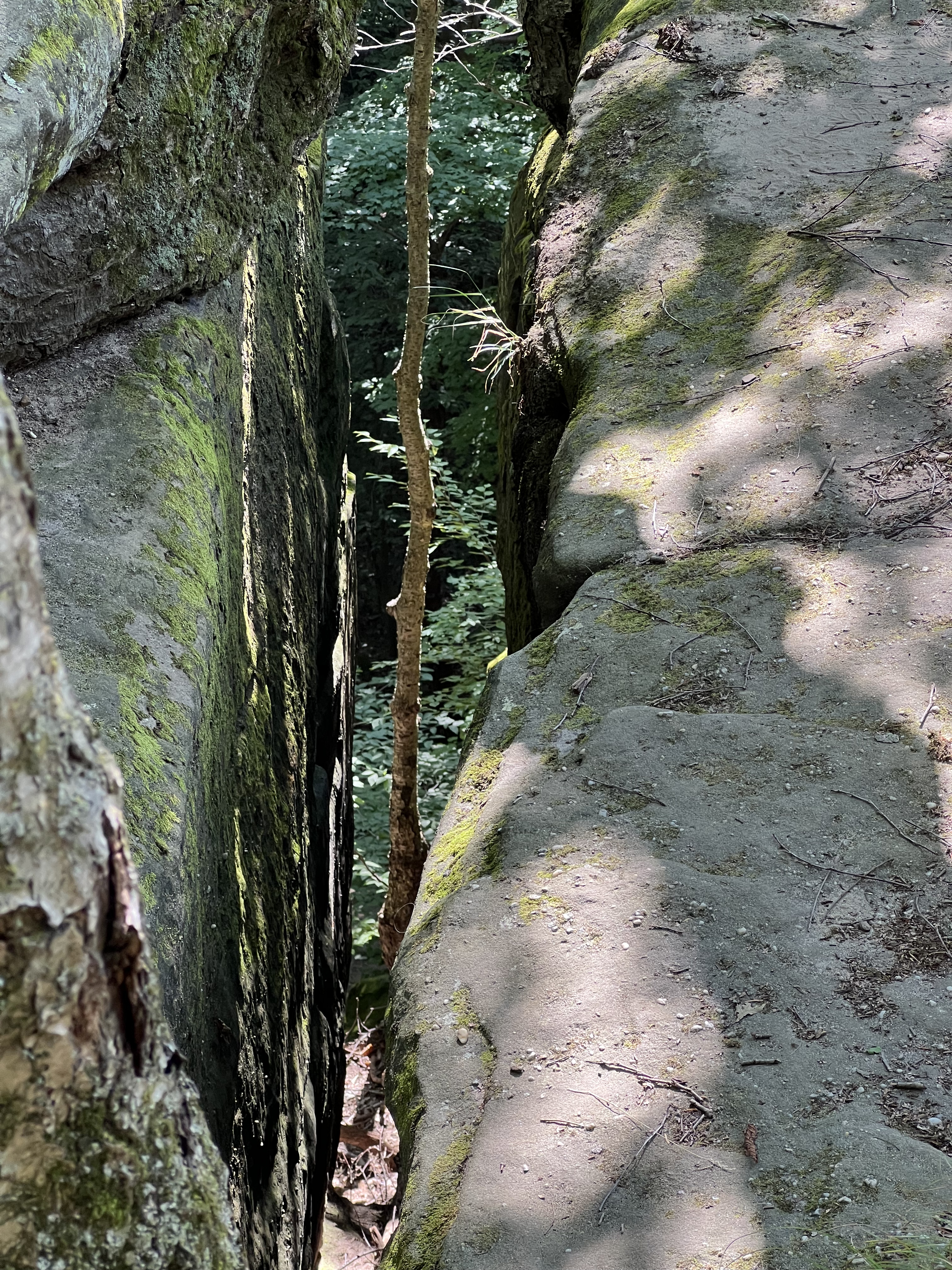 ./2024/09 - Cleveland/IMG_2453.jpg